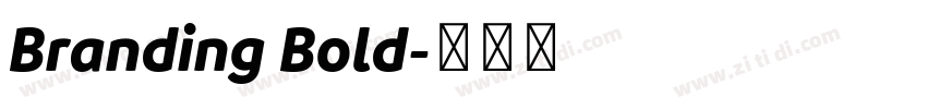 Branding Bold字体转换